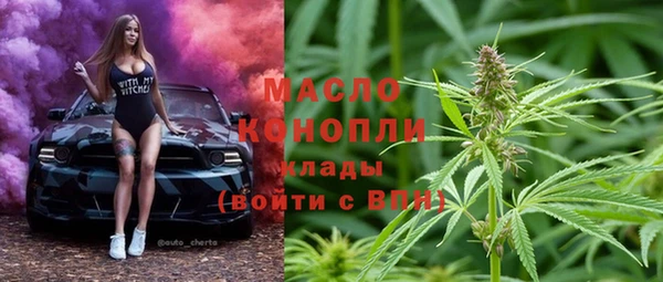 молекула духа Михайлов