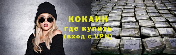 молекула духа Михайлов