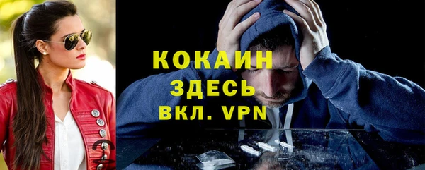 молекула духа Михайлов
