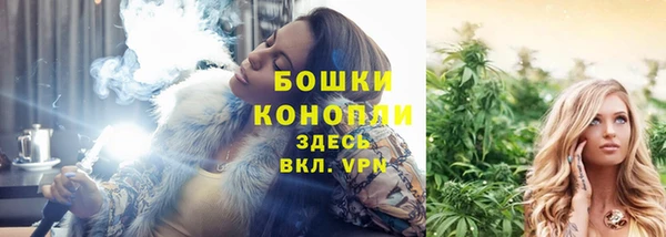 молекула духа Михайлов