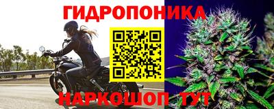 первитин Заволжье