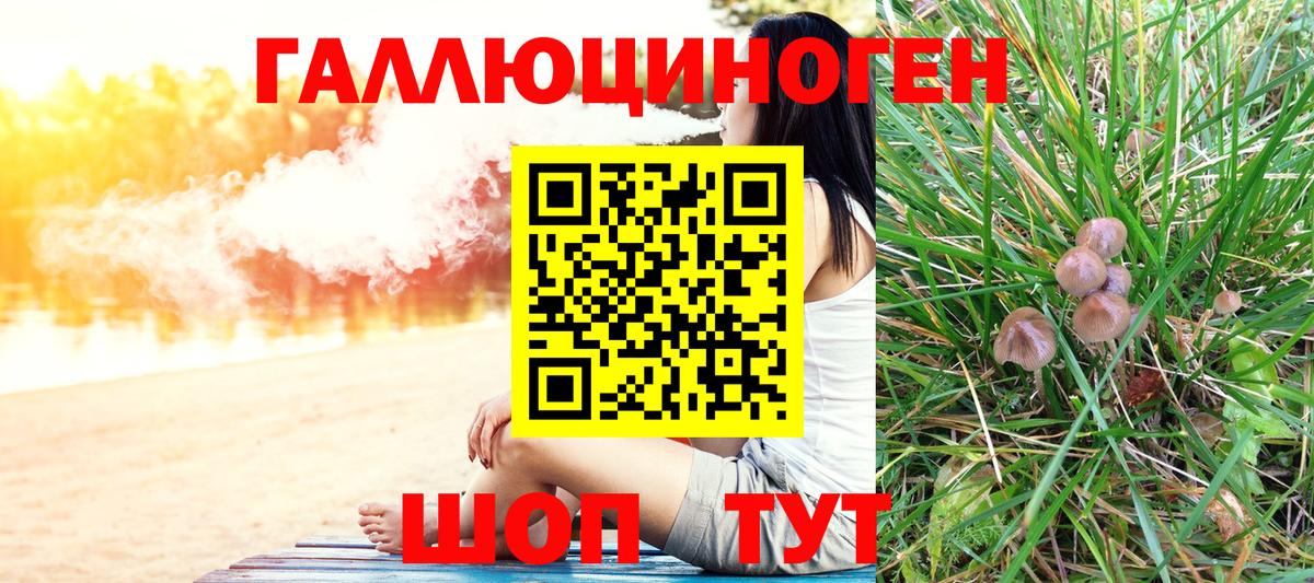 Псилоцибиновые грибы Psilocybine cubensis  Галлюциногенные грибы мицелий  Омск  Вход с VPN 
