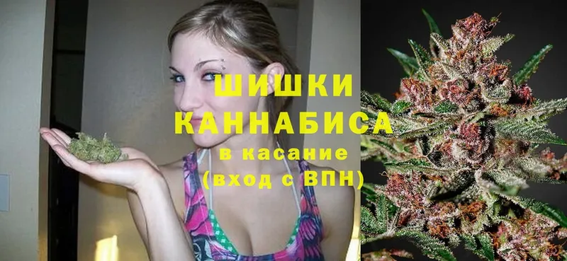 Конопля OG Kush  Омск 